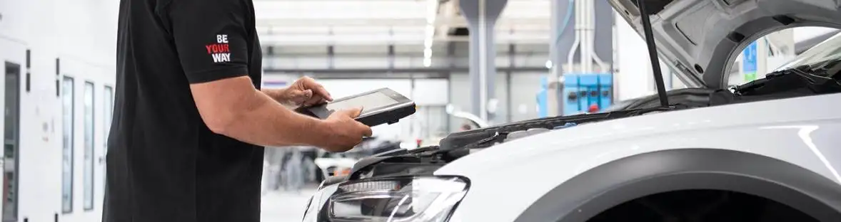 PROFESSIONAL: the service program for Repairers 