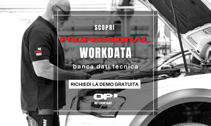 Professional Workdata: richiedi la demo