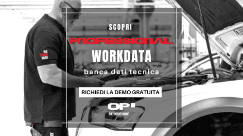 Professional Workdata: richiedi la demo