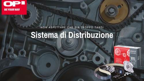 Cinghia di Distribuzione: non aspettare che sia troppo tardi.