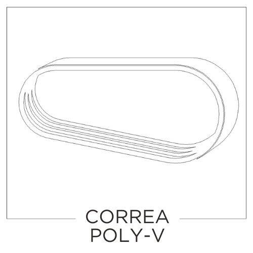 Correa_Poly-V_es.jpg