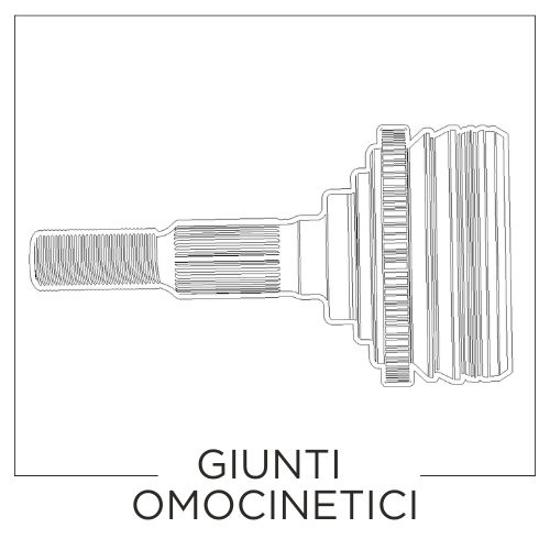 GIUNTI_OMOCINETICI_ITAA.jpg