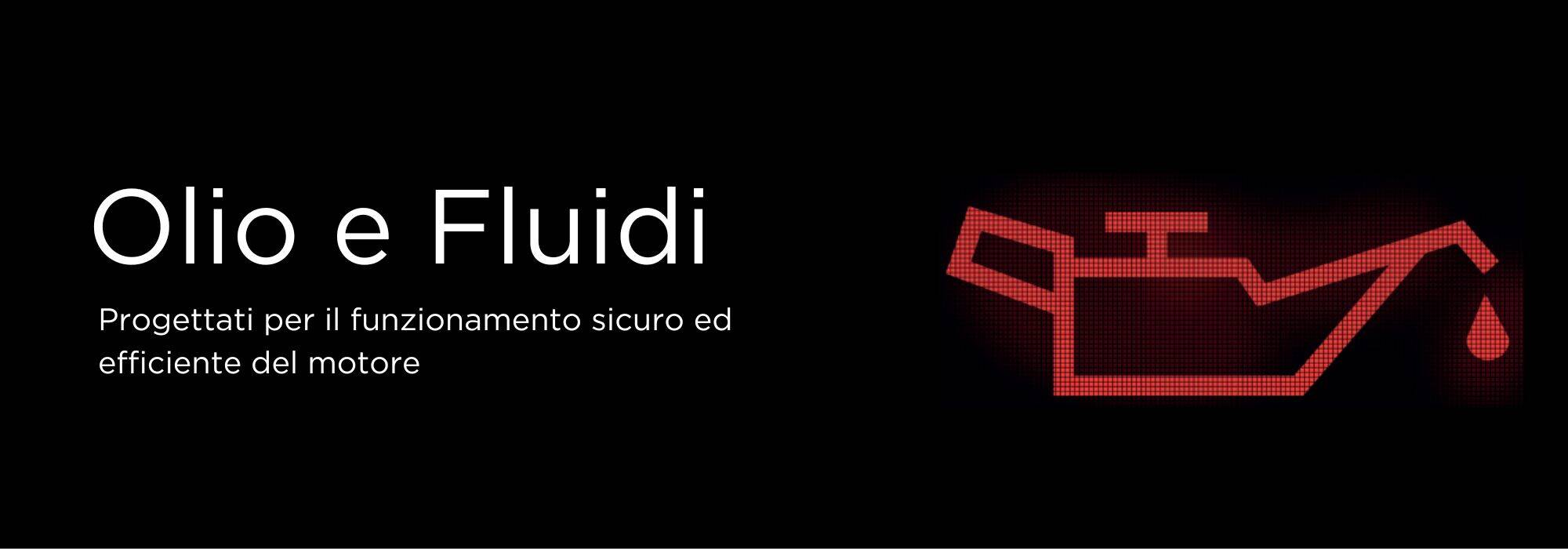 OLIO_E_FLUIDI_-_ITAa.jpg
