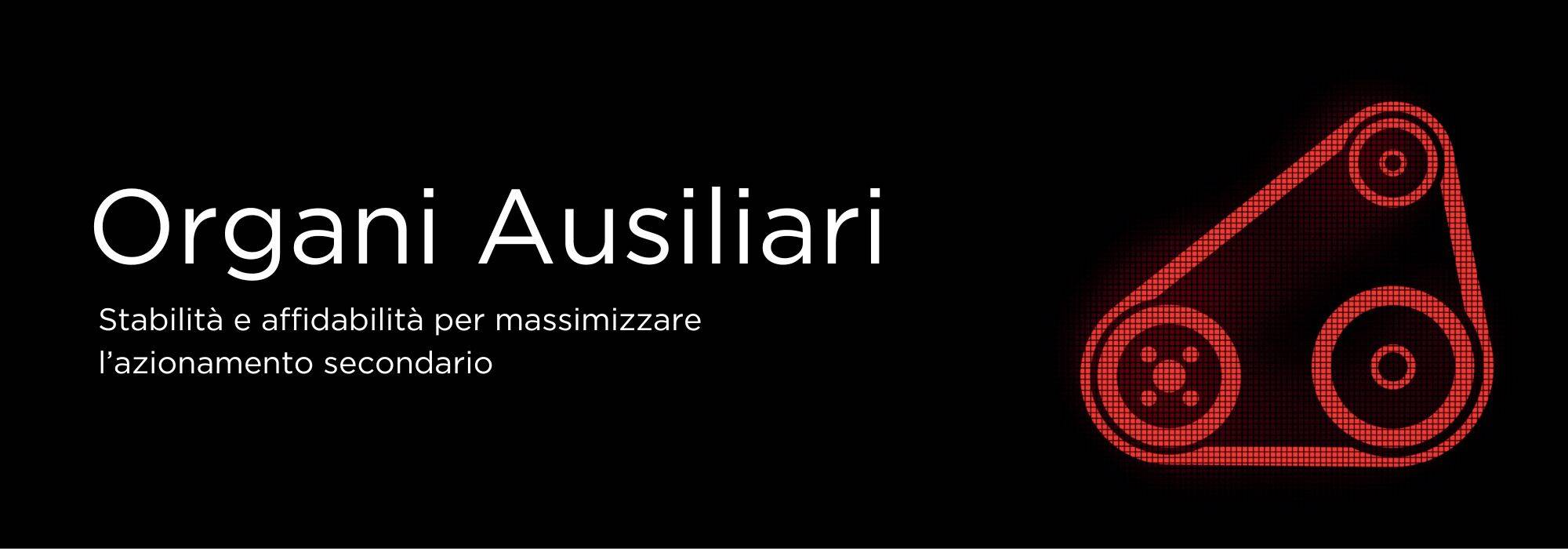 ORGANI_AUSILIARI_-_ITA.jpg