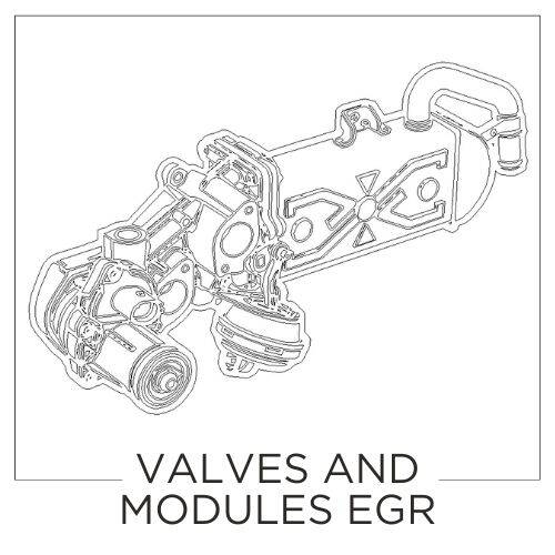 VALVES_AND_MODULES_EGR_EN.jpg
