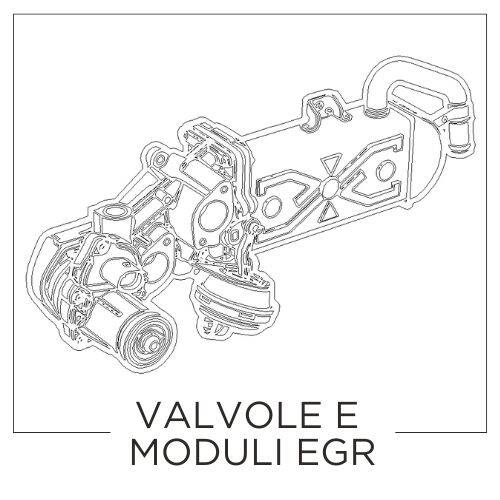 VALVOLE_E_MODULI_EGR_ITA.jpg