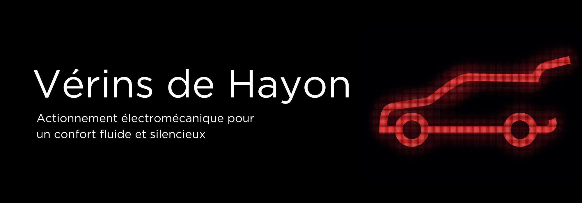 Vérins_de_Hayon_fr.jpg
